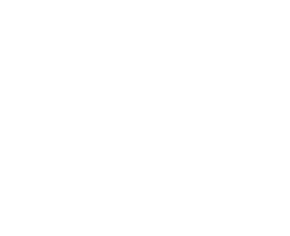 Plan G